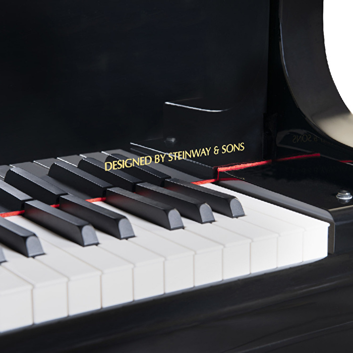 ESSEX EGP-173 C Parlak Siyah 173 CM Kuyruklu Piyano